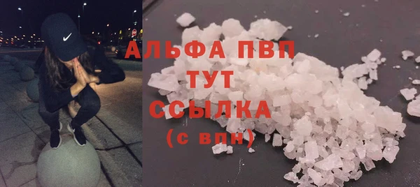 ECSTASY Абаза