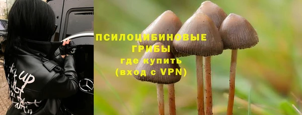 ECSTASY Абаза
