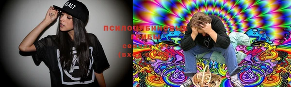 ECSTASY Абаза