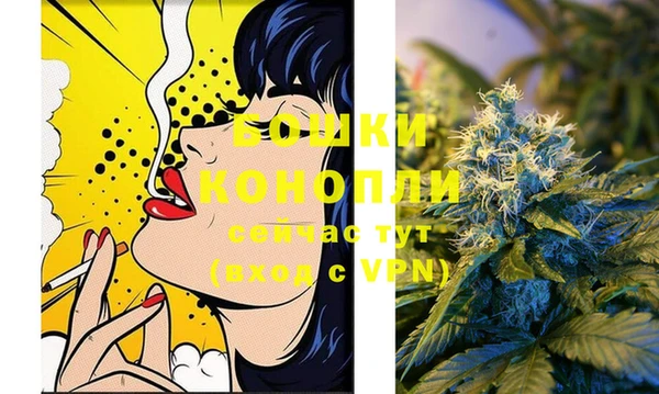 СК Покровск