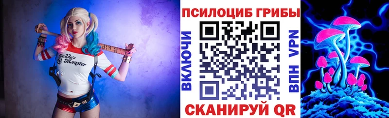 kraken   Емва  Галлюциногенные грибы Psilocybine cubensis 
